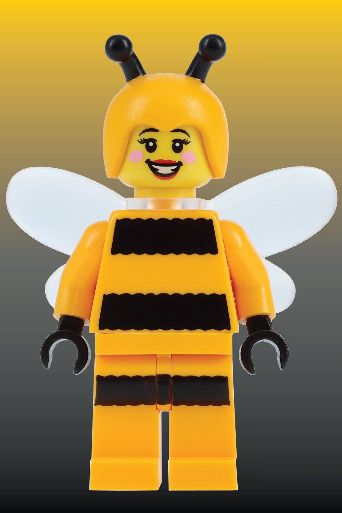 LEGO Mystery Minifigure Puzzles Animal Edition 12 Copy CDU
