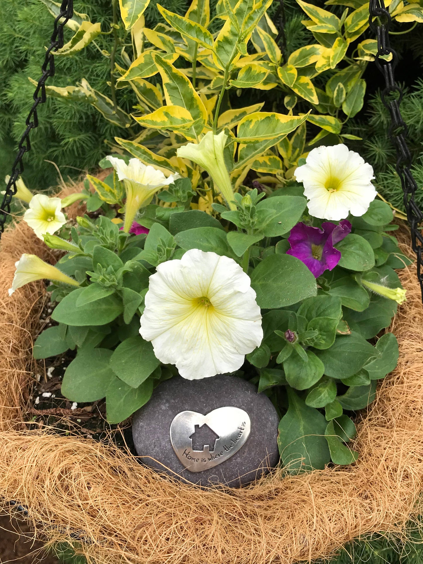 Happy Home Rock Garden Stone Gift