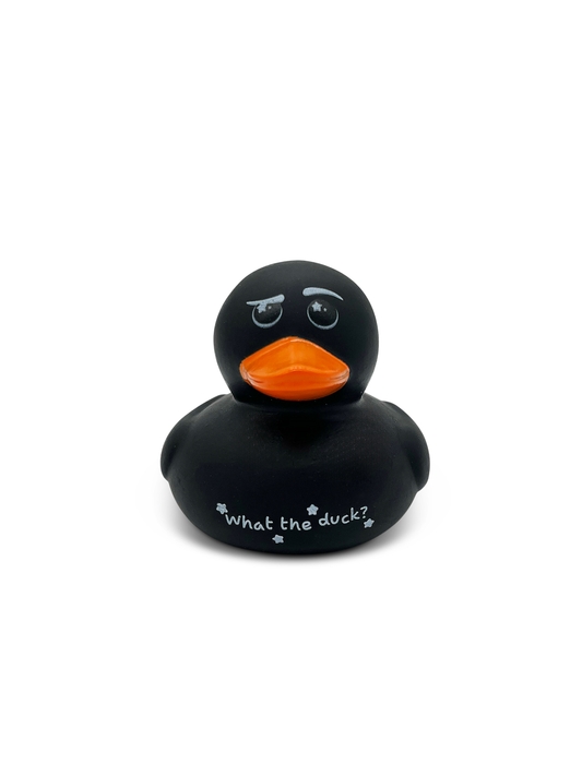 6 Piece Funny Bag-O-Ducks