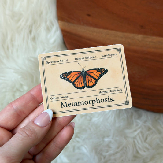 Butterfly Specimen Metamorphosis Museum Sticker