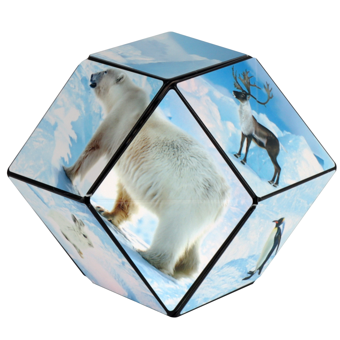 Shashibo Arctic Magnetic Puzzle Cube STEM STEAM MESH