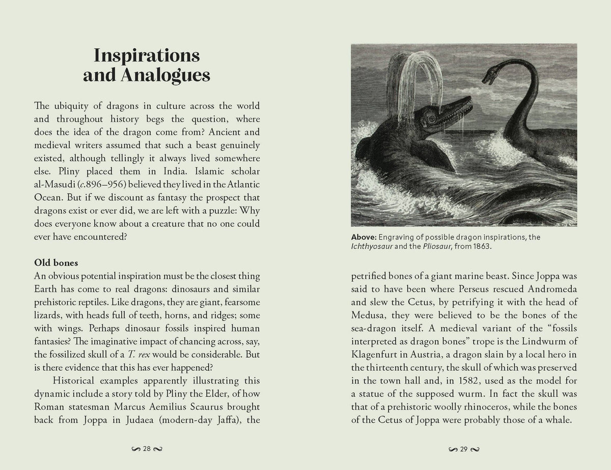 Pocket Book of Dragons