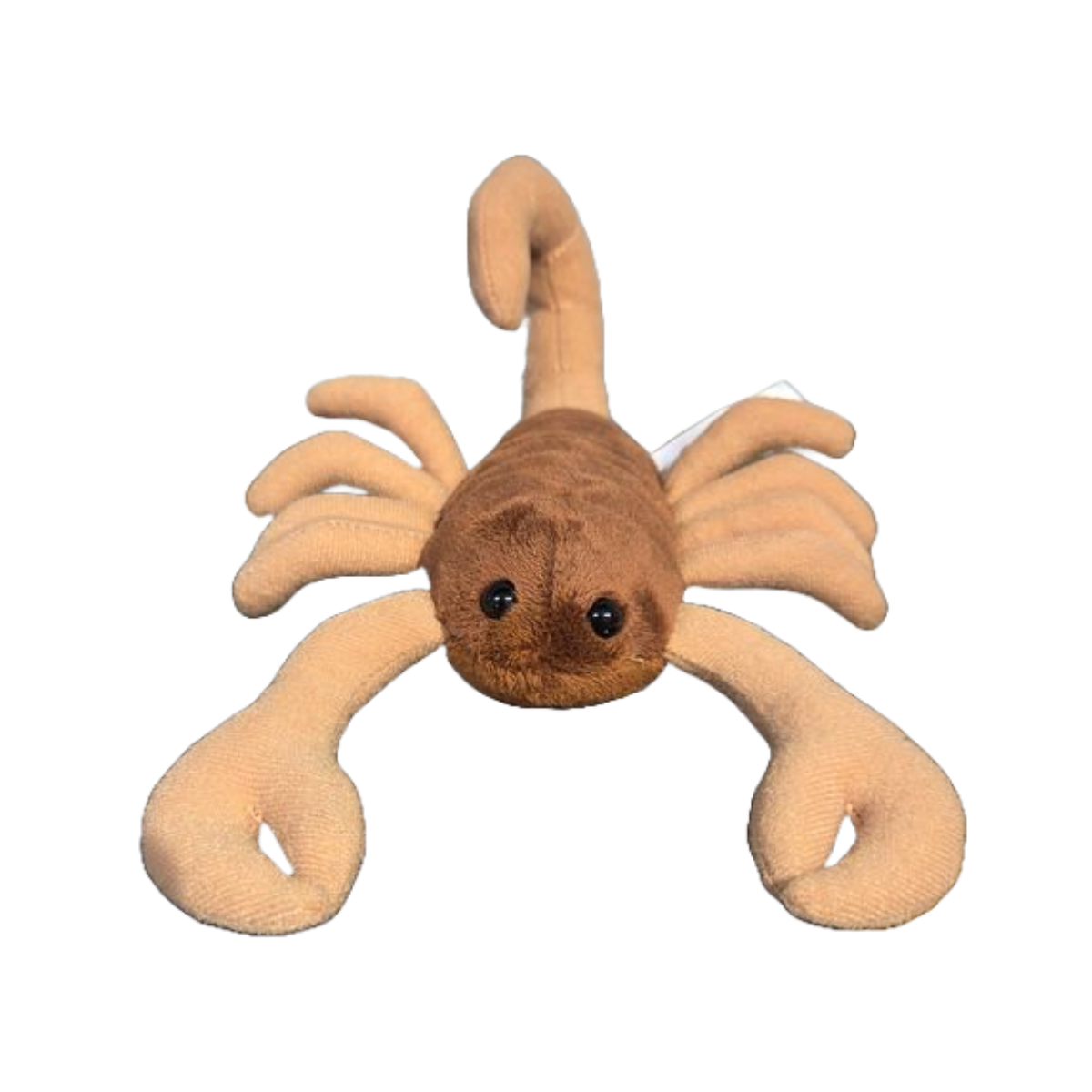 Canned Scorpion - Bug Insect Plush Gift in Can w/Jokes
