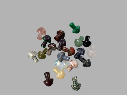 Pocket Mushroom-Assorted Crystal