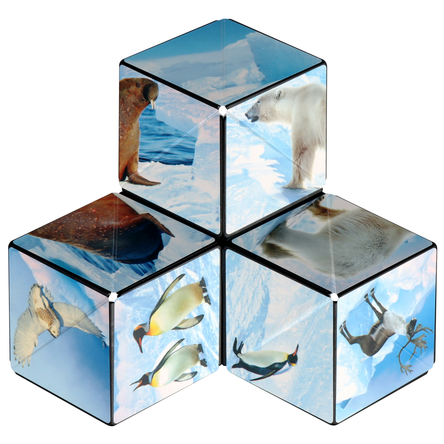 Shashibo Arctic Magnetic Puzzle Cube STEM STEAM MESH