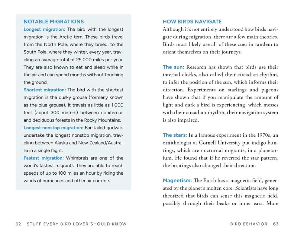 Stuff Every Bird Lover Should Know by Alice  Sun