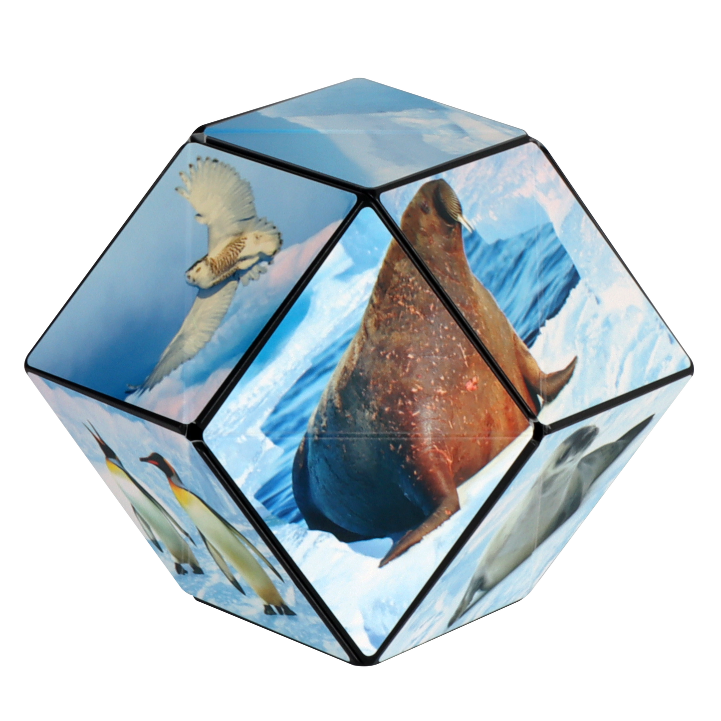 Shashibo Arctic Magnetic Puzzle Cube STEM STEAM MESH
