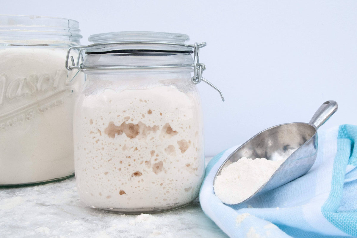 Sourdough Start