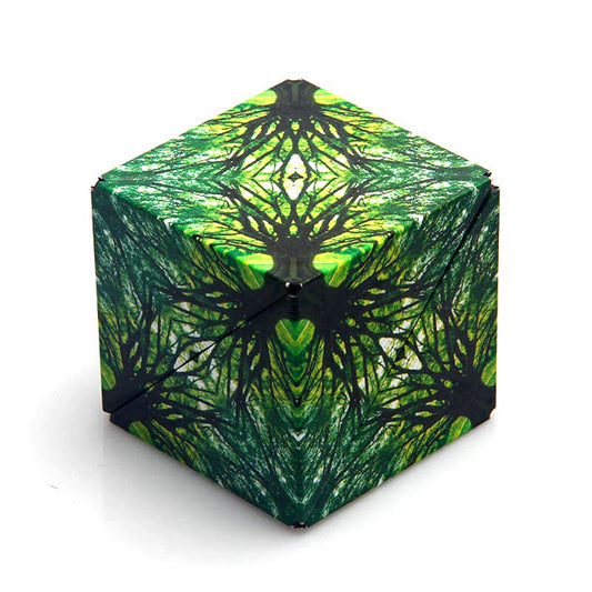 Shashibo Elements Magnetic Puzzle Cube STEM STEAM MESH