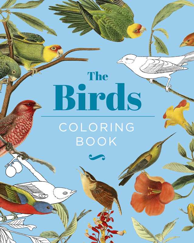 Birds Coloring Book by Peter Gray