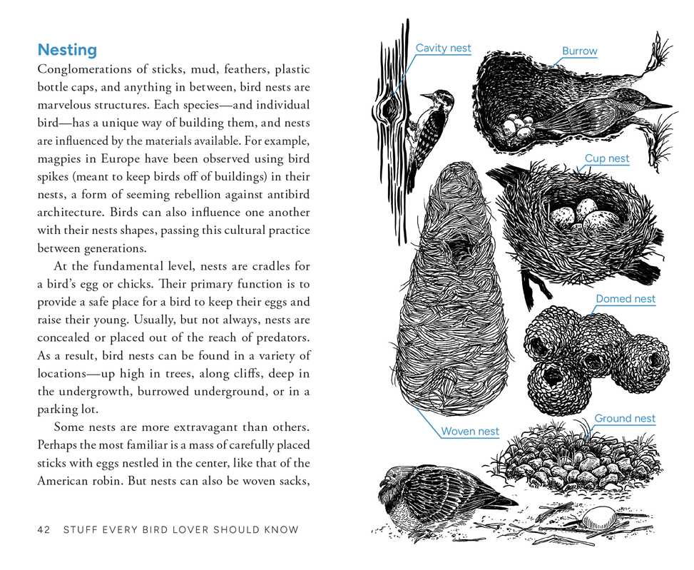 Stuff Every Bird Lover Should Know by Alice  Sun