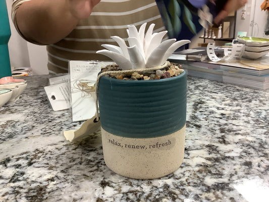 Succulent Oil Diffuser