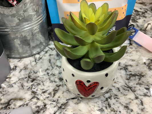 Mini Succulent Hearts & Dots