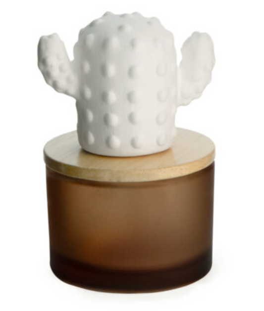 Airome Porcelain Cactus Dif
