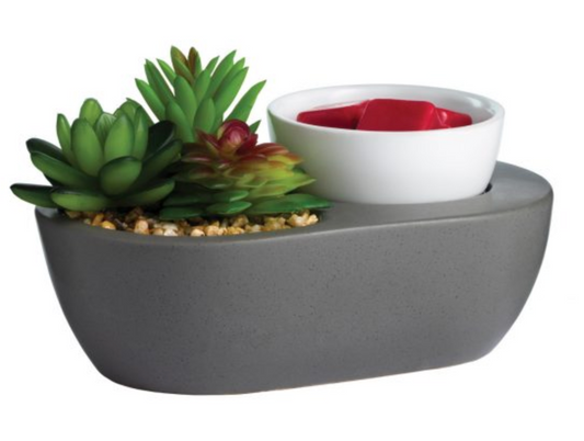 Warmer Succulent