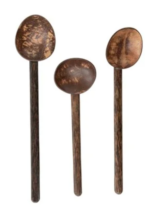 Coconut and Mango wood spoons -Assorted