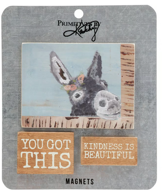 You got this Magnet set