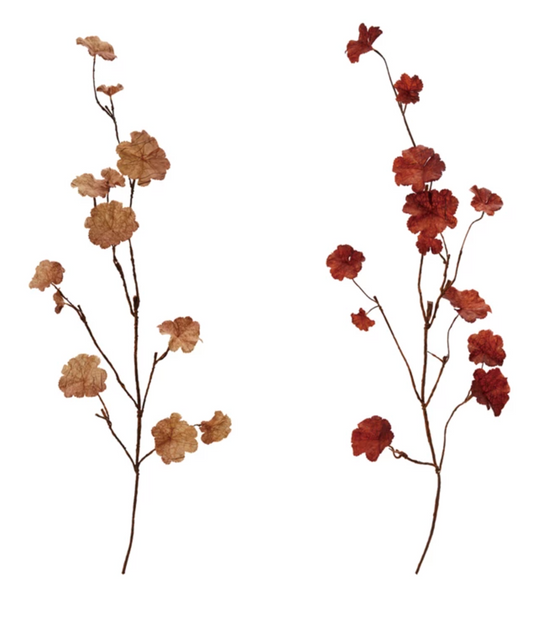 Fall Branch