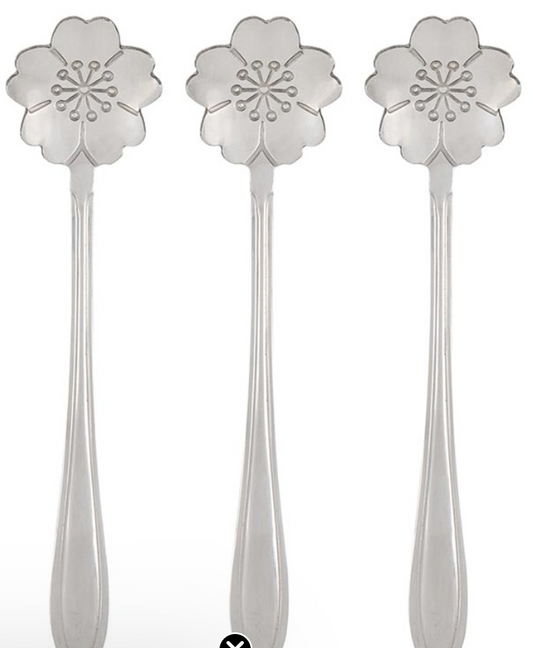SIlver Spoons Set