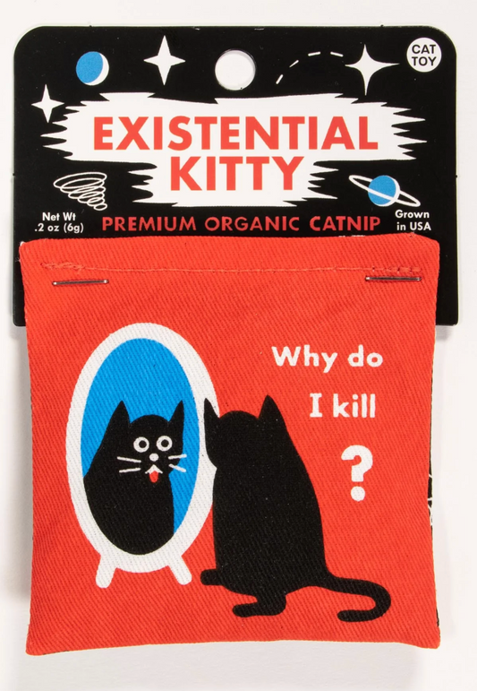 Existential Kitty