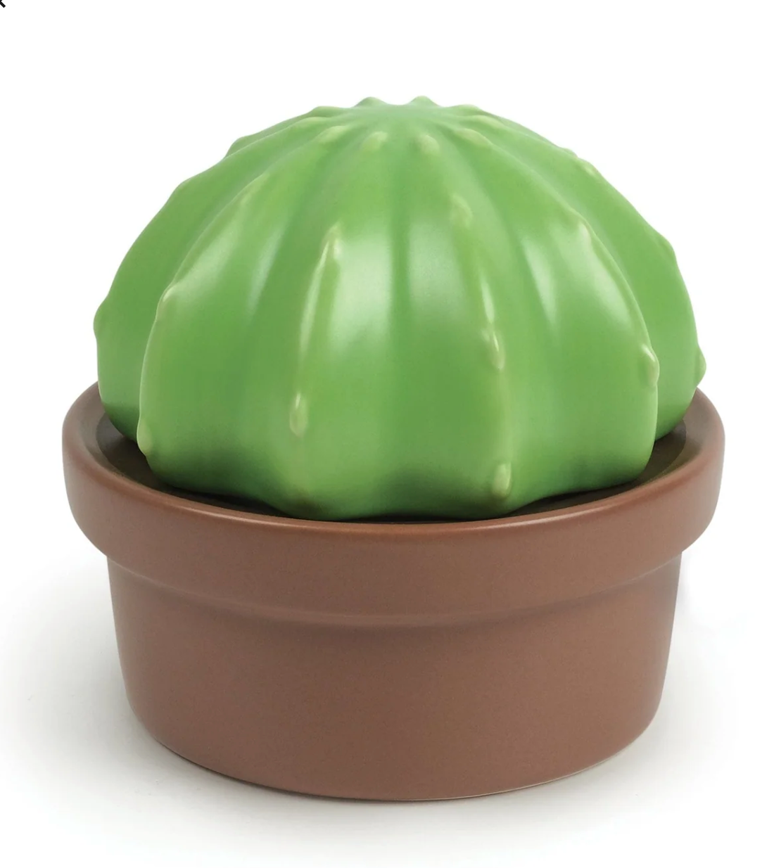 Butter House Plant