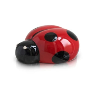 NF Lil' Ladybug Mini