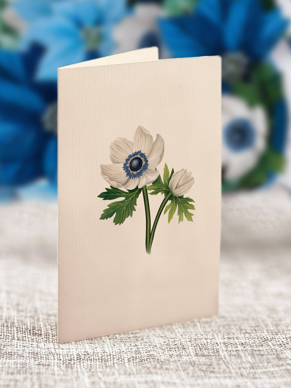 Mini Blue Poinsettia