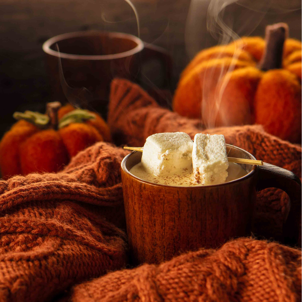 Hot Cocoa Assorted Flavors