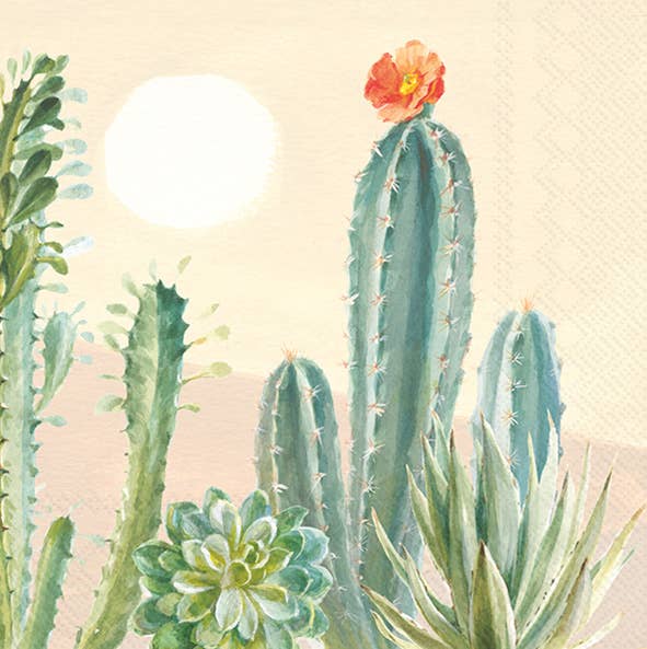 Paper Cocktail Napkins 20 Ct Desert Greenhouse Rosanne Beck