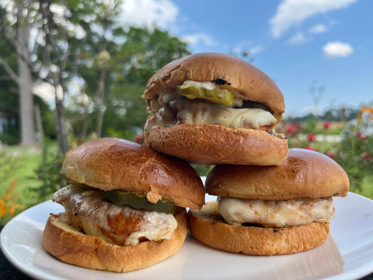 Donkey Dongs Sweet Fire Pickles - Jalapeno Pickle, Condiment